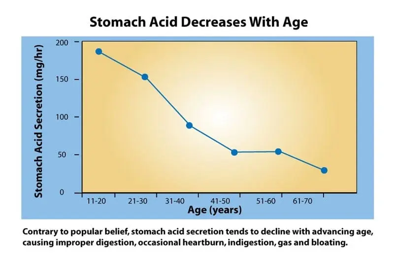 Digestive and Constipation Protocol - Image 3
