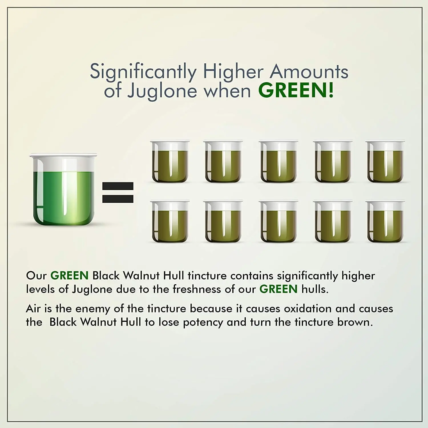 ParaCleanse Standard Kit – Tincture & Tapioca Caps - Image 3