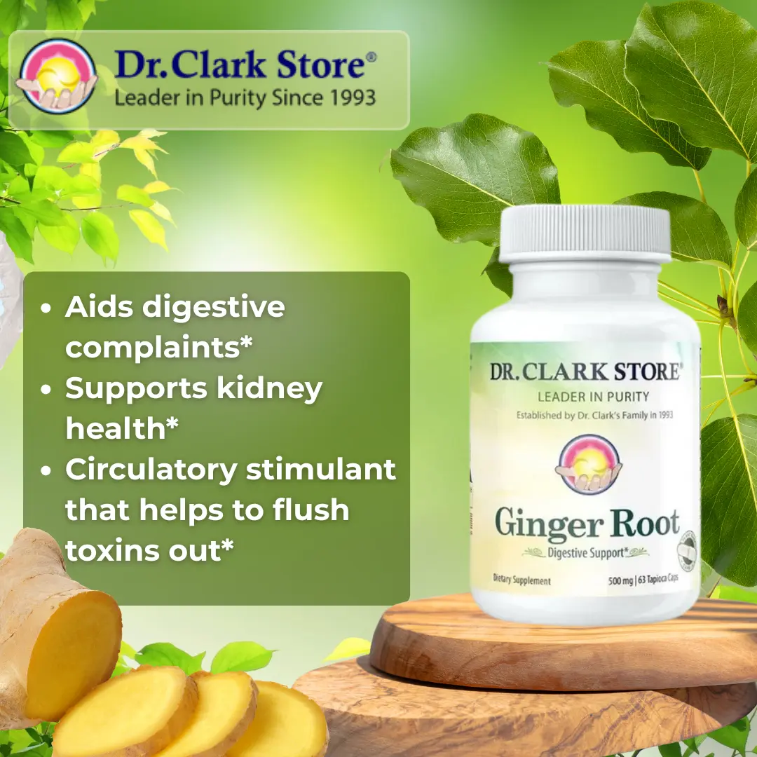 Ginger Root, 500 mg 100 capsules - Image 3