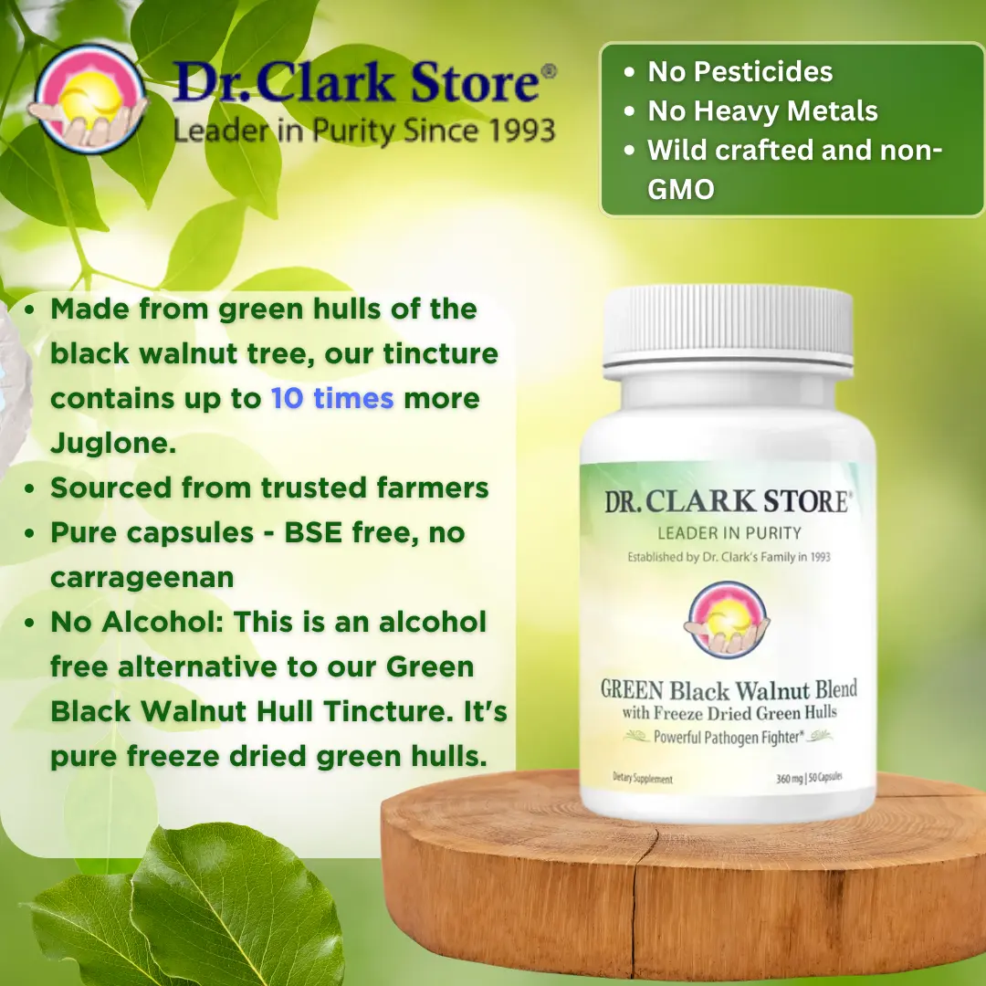 GREEN Black Walnut Hull Blend, 360 mg 50 capsules - Image 3
