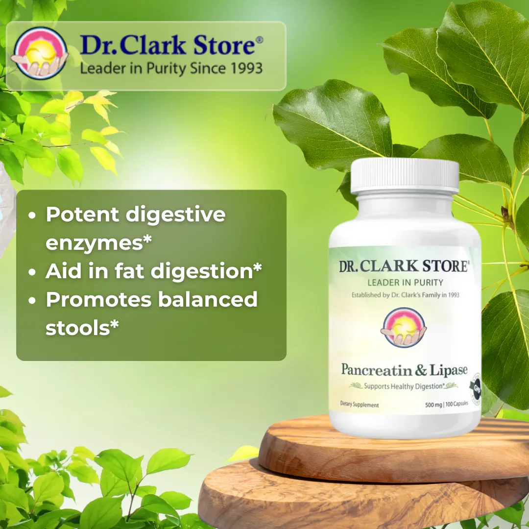 Pancreatin & Lipase, 500 mg 100 capsules - Image 3