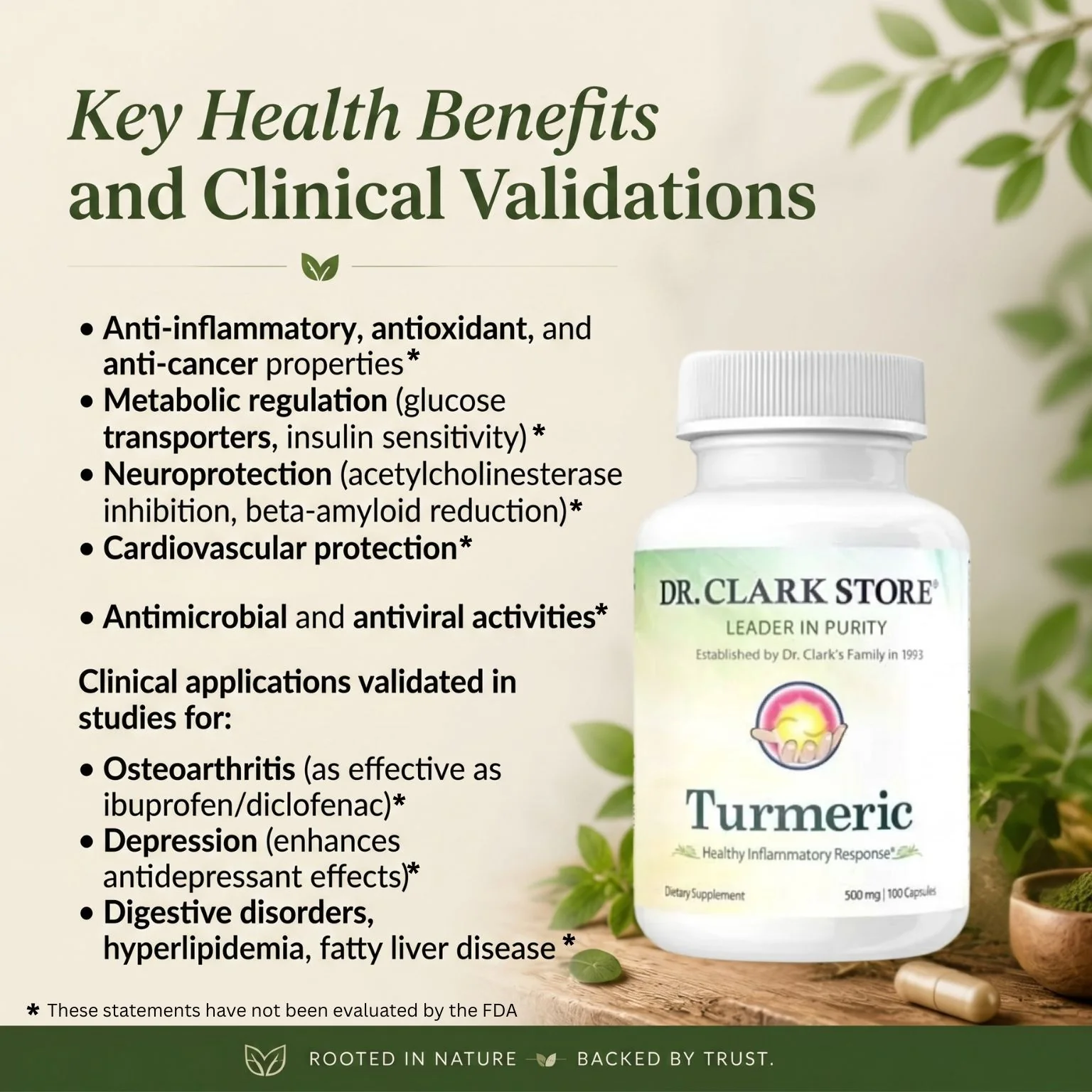 Turmeric, 500 mg 100 capsules - Image 3